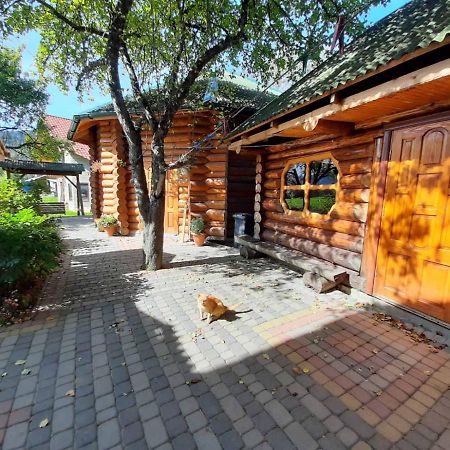 Villa Прутець à Mykulychyn Extérieur photo