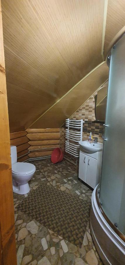 Villa Прутець à Mykulychyn Extérieur photo